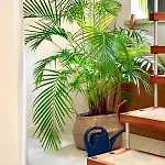 Le Hamac - Nature Near Bastogne *