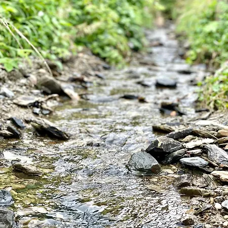 Le Hamac - Nature Near Bastogne * Fauvillers