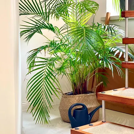 Le Hamac - Nature Near Bastogne *