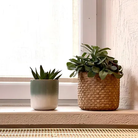 Le Hamac - Nature Near Bastogne *