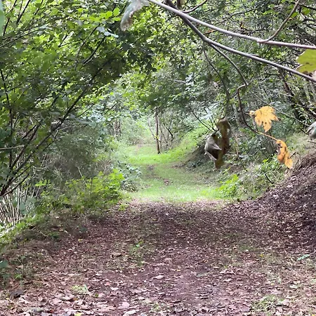 Holiday home Le Hamac - Nature Near Bastogne *