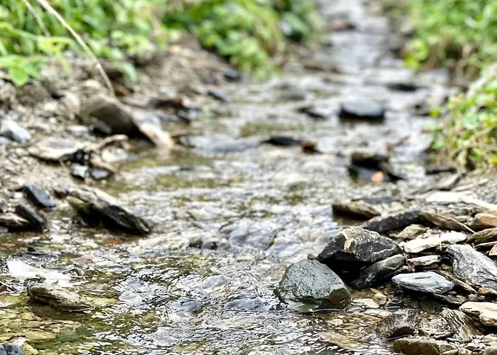Le Hamac - Nature Near Bastogne * Fauvillers