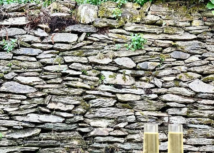 Дом отдыха Le Hamac - Nature Near Bastogne