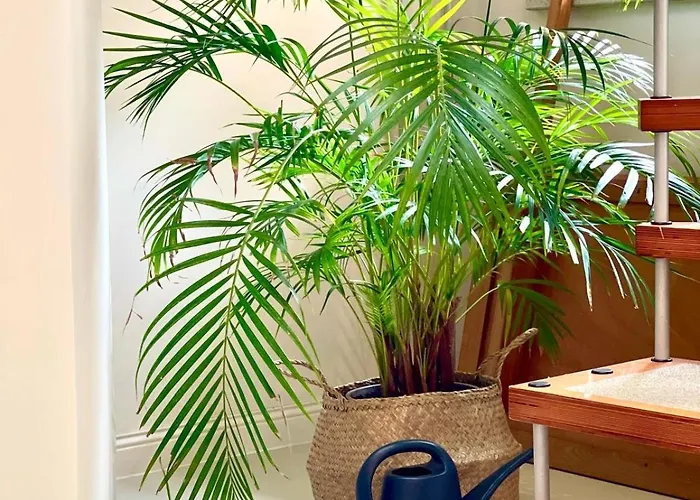 Le Hamac - Nature Near Bastogne *