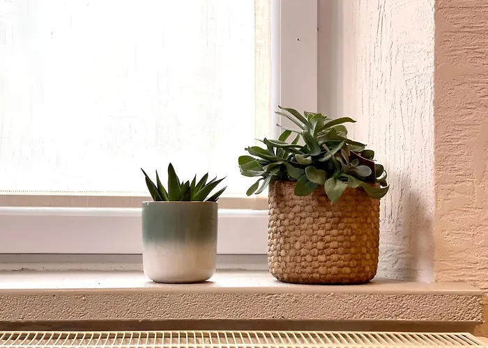 Le Hamac - Nature Near Bastogne *