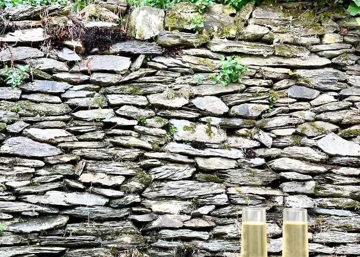 Le Hamac - Nature Near Bastogne *