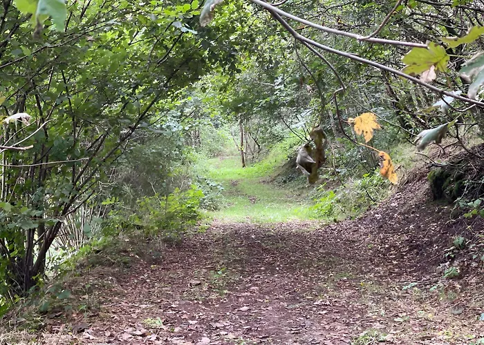 Дом отдыха Le Hamac - Nature Near Bastogne *